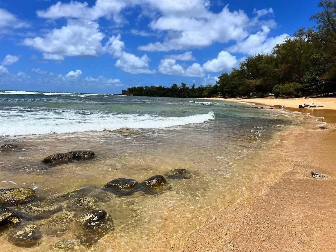 Islander On The Beach 131 Kapa'a
